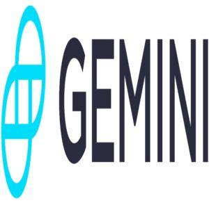 gemini exchange outage