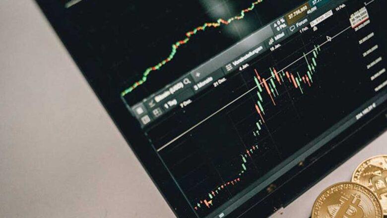 Defensive stocks ensure stability