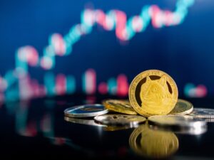 Explore the evolution of Bitcoin and meme coins in the dynamic crypto investment landscape.