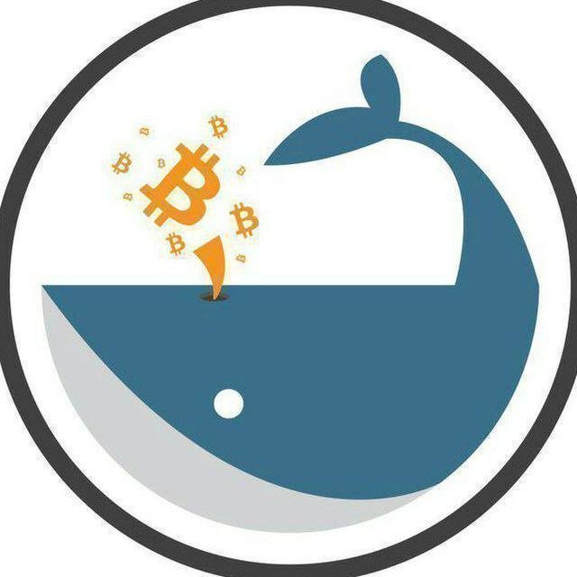 Whalepool
