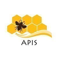Apis token. Apis token. Мой api. Apis token. Apis token.