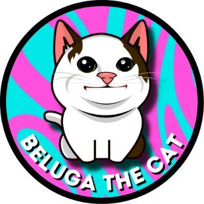 Beluga Cat Art