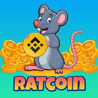 Rat Coin ICO Rating Reviews and Details ICOholder