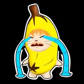 Banana Cat (BCT) ICO calificación y detalles | ICOholder