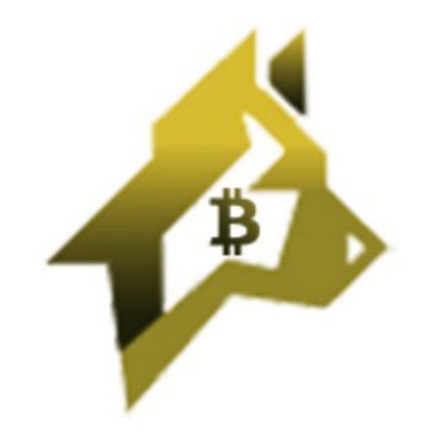 Coin Insider