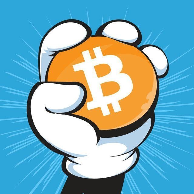 #52BTC Investors & Traders