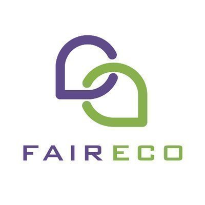 Image result for Faireco ico reviews