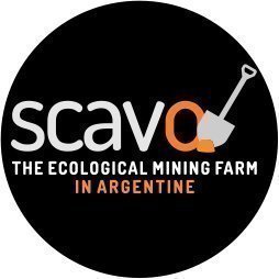 Image result for scavo ico