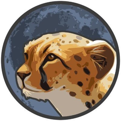 Чтт. Cheetah Master
