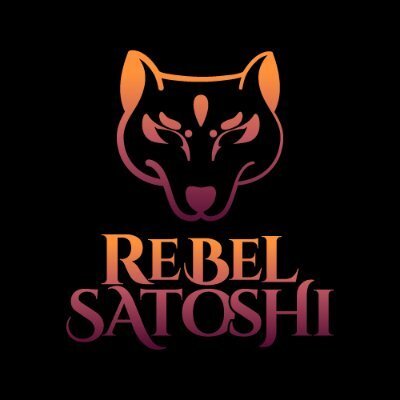 Rebel Satoshi Rblz Unveiling The Potential Behind The Next Meme