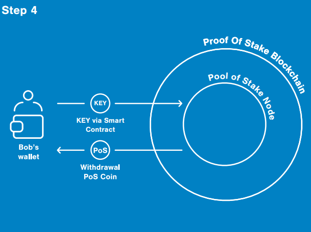 Pool of Stake Implementation Step 4
