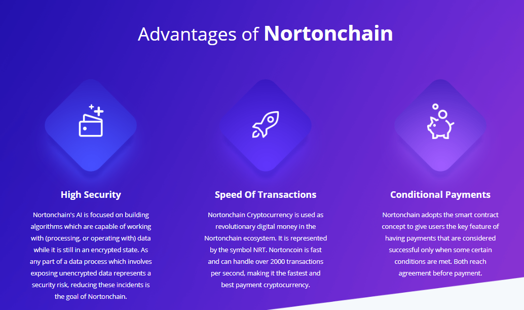 Image result for nortonchain