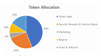 Token Allocation