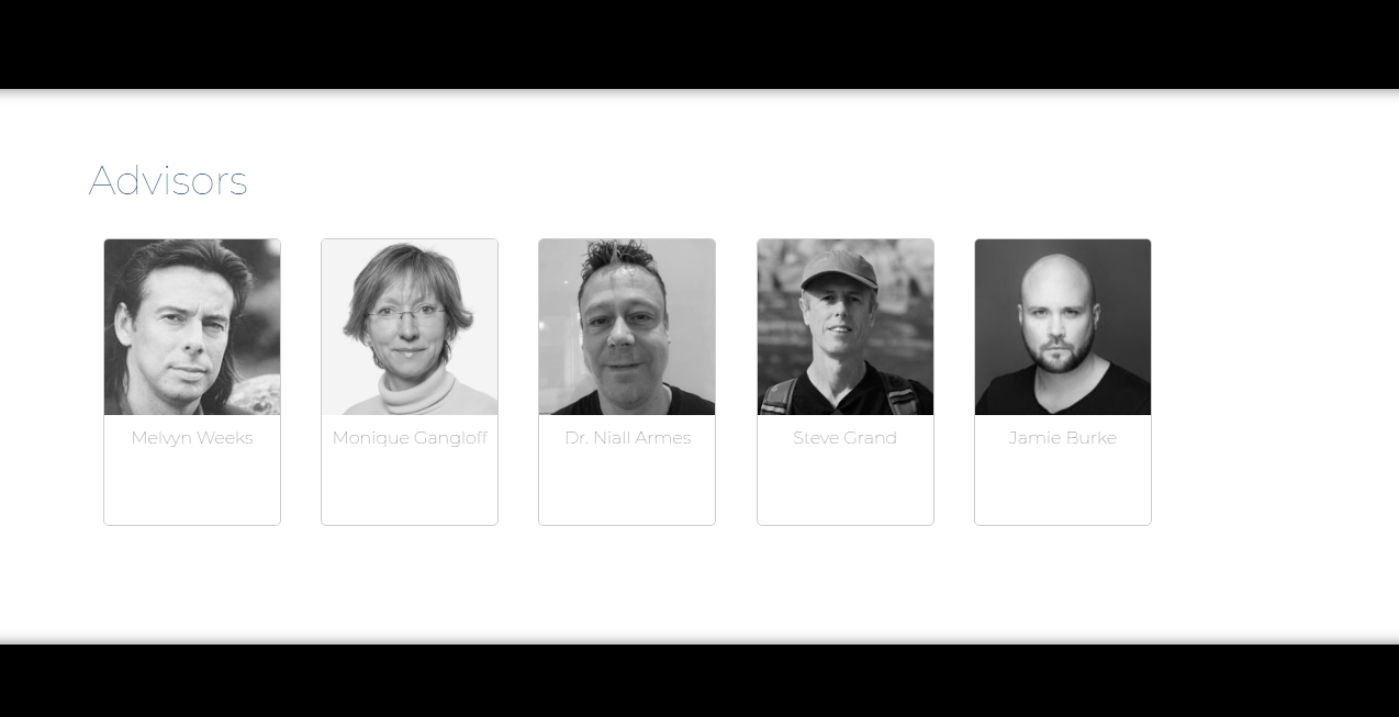 Fetch.AI advisors