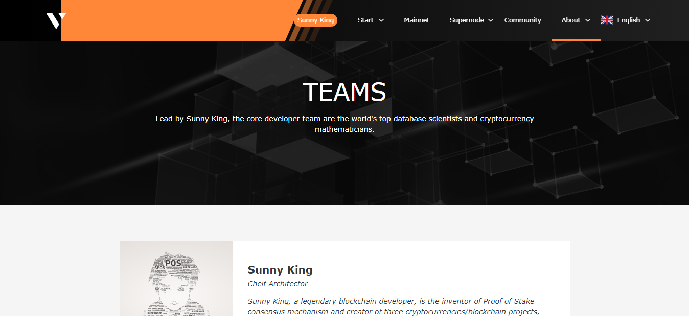 V SYSTEMS team 1
