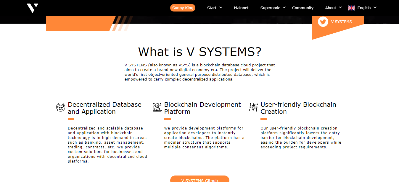 What is V SYSTEMS?