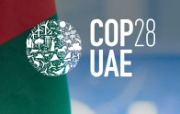 COP 28