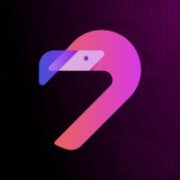Flamingo Finance