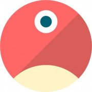 pNetwork