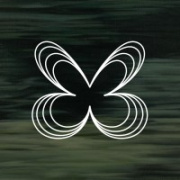 Butterfly Effect