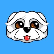 BoDoggos