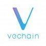 VeChain