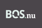 BOS (Branschföreningen för Onlinespel)