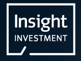 Currency Solutions Insight Investment