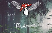 Fly Amanita