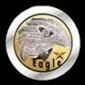 Eagle Project