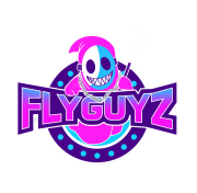 FlyGuyz Gaming