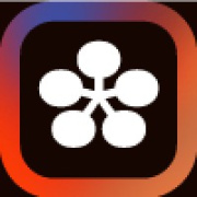 Local*, LLC