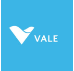 Vale Base Metals
