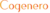 Cogenero ICO