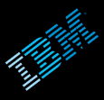 IBM Digital Business Group