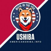 American Shiba