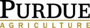 Purdue