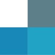 Crypto Carbon Ratings Institute (CCRI)