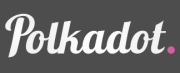 Polkadot Network