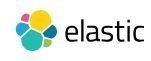 Elastic NV