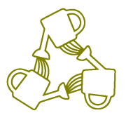 Prosocialise Foundation