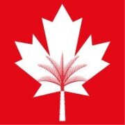 Canadian University Dubai