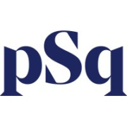 PSQ Holdings