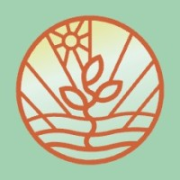 Ekonavi