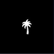 Palm Tree Crew