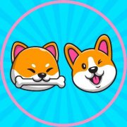 Corgi Shiba-Inu