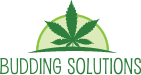 Budding Solutions