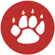 QTech Games