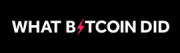 What Bitcoin Did