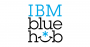 IBM Blue Hub